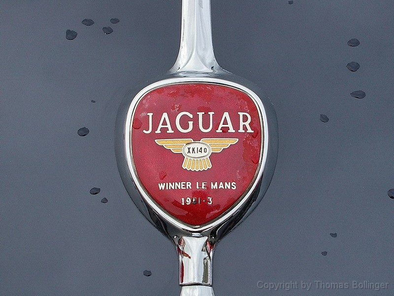 jaguar02.jpg