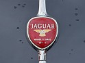 jaguar02