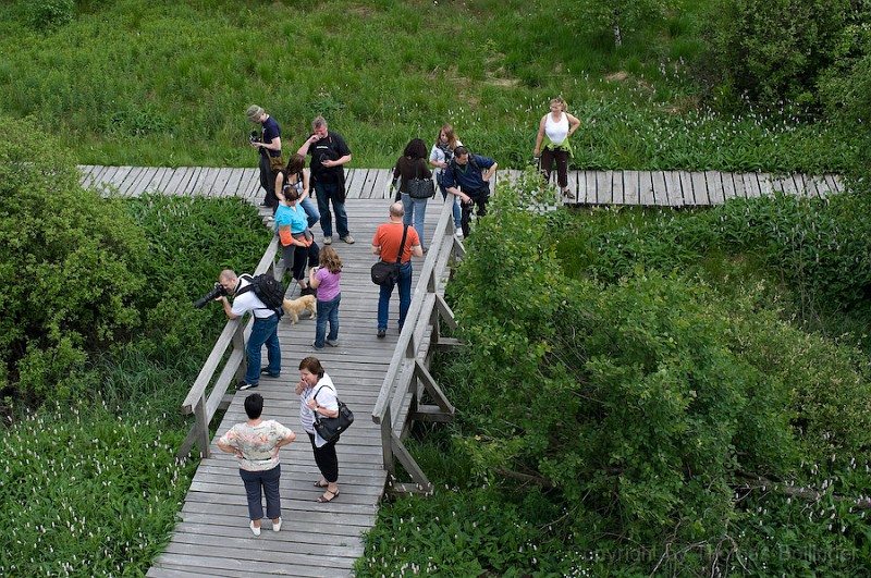 entw-0282.jpg - halbes Gruppenfoto in lockerer Aufstellung