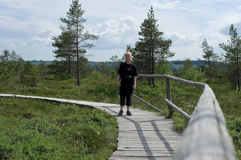 entw-0289.jpg - der Mohrgeist