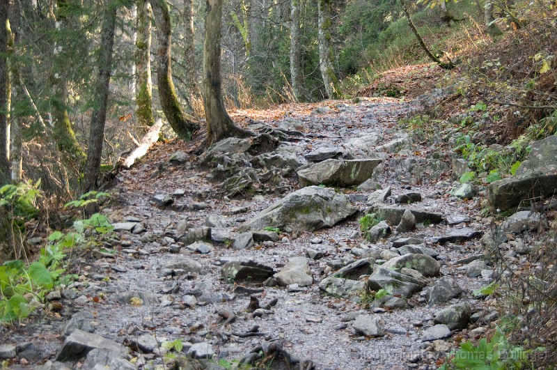 entw-2790.jpg - mühsamer Abstieg zum Feldsee