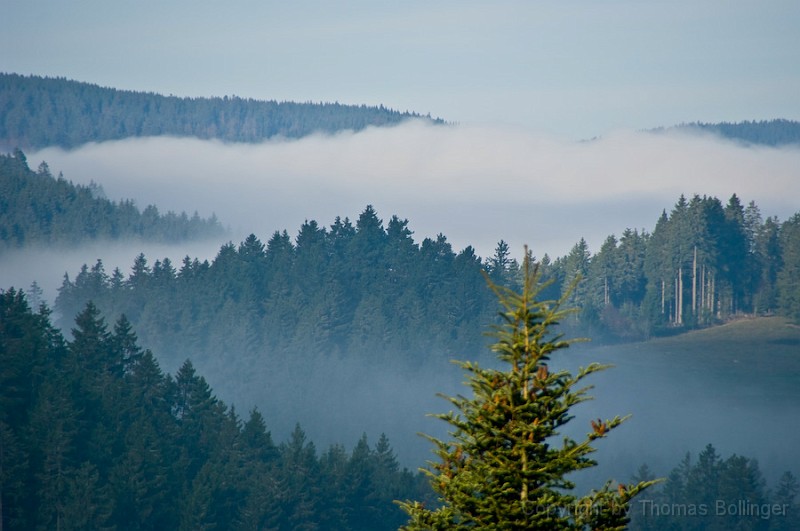 entw-2824.jpg - Blick aus der Pension Feldbergblick